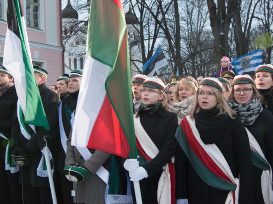 Eesti Vabariigi 99. aastapäeva tähistamine